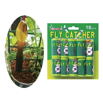 Trapka za lov na muhe 10pc